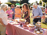 Photo of a community picnic, outdoors with lots of people.
